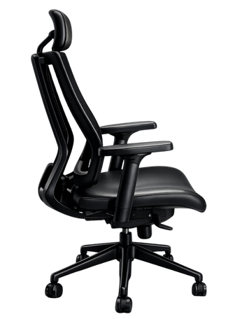 Support from your lumbar to your head