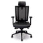 NetOne High Back Ergonomic Office Chair