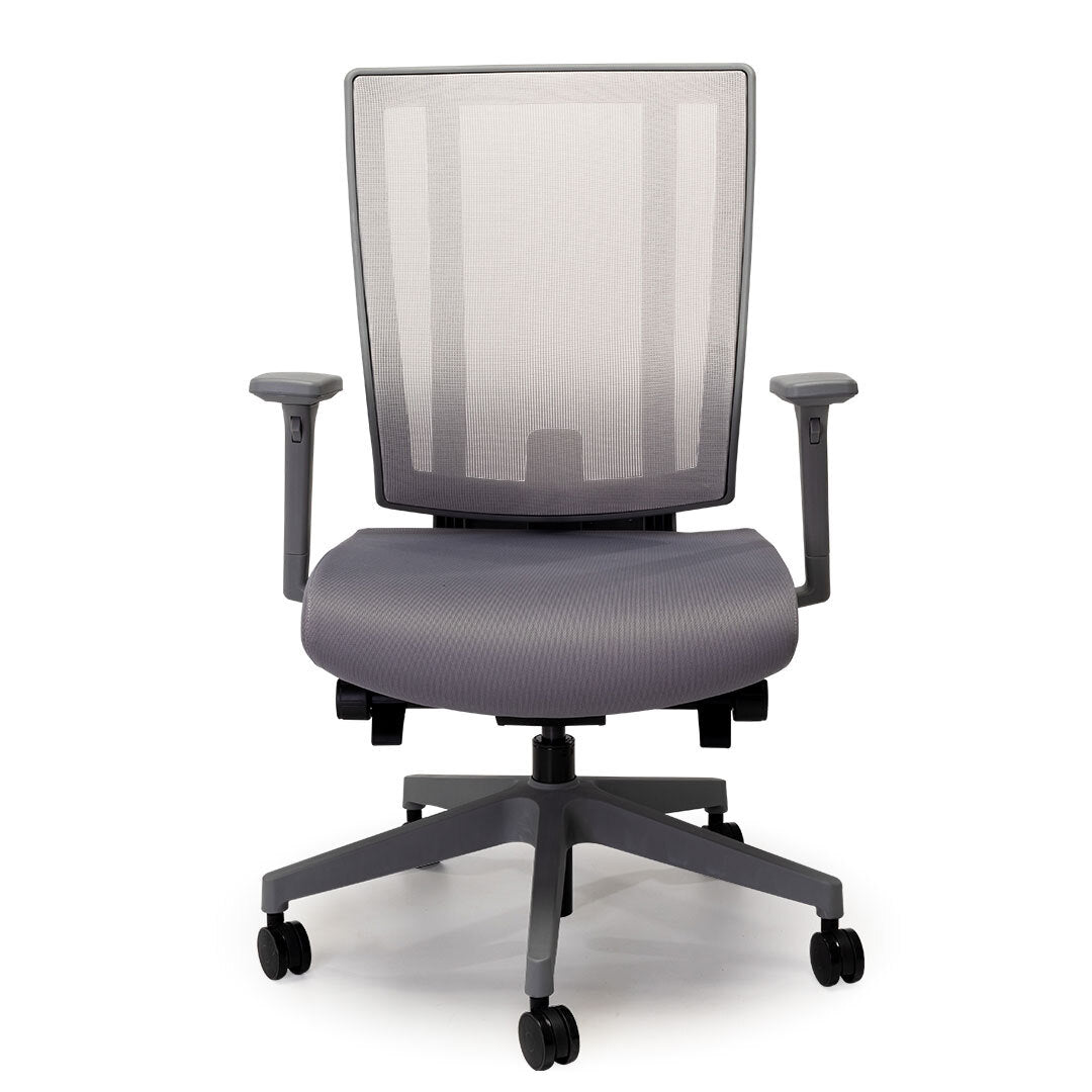 NetOne Mid Back Ergonomic Office Chair Grey Frame - SAVE R1 000!
