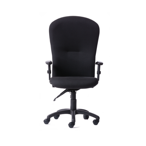 GetOne® High Back Ergonomic Office Chair - Ergo Test
