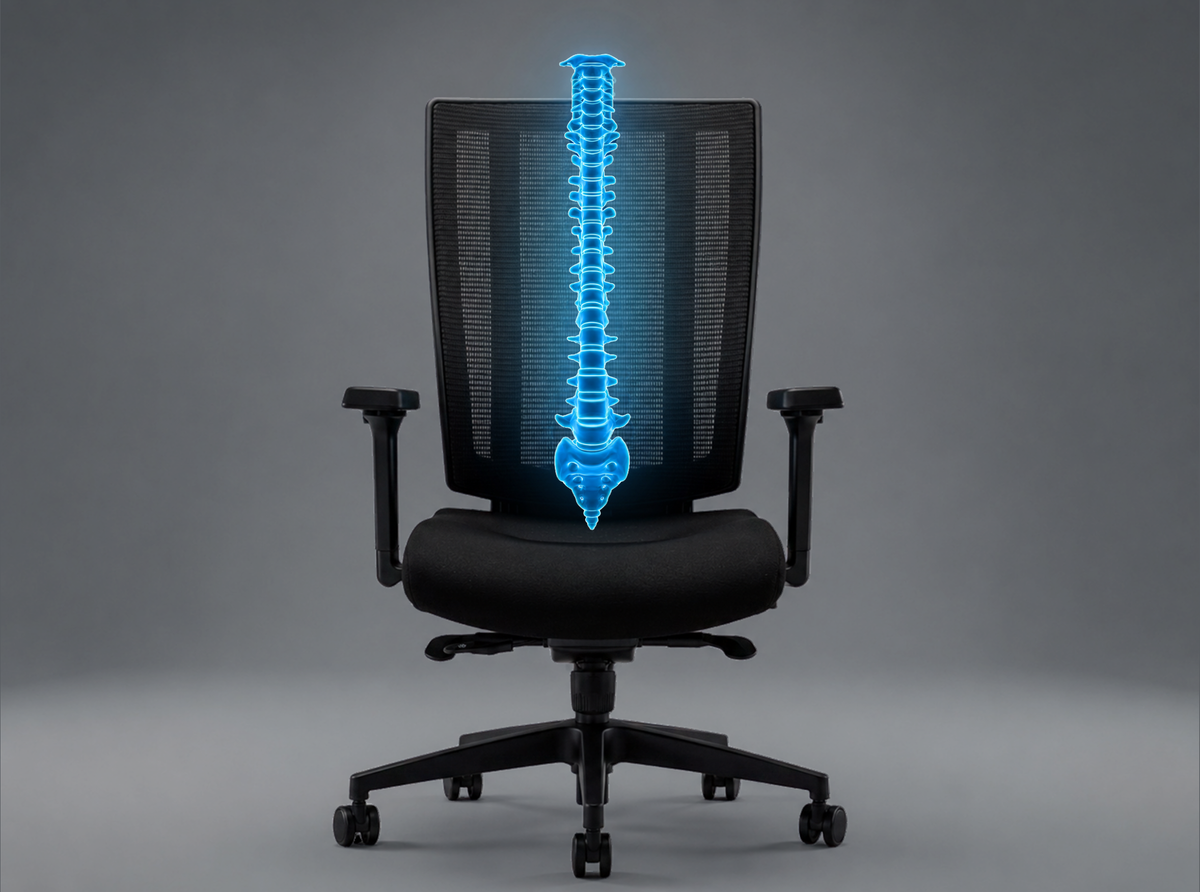 Endorsed by the World Federation of Chiropractic