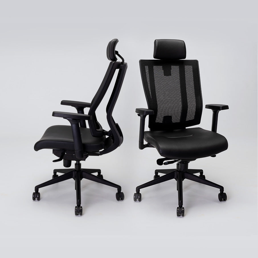 Ergolux stanford high online back padded office chair