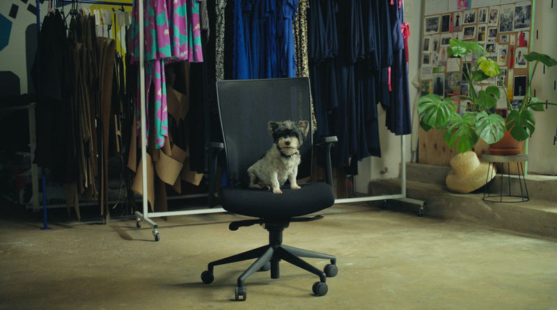 Chair Behind Behind the Chair | Ergotherapy